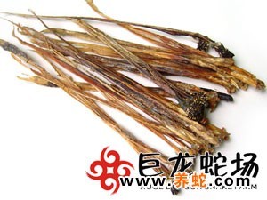 无毒蛇养殖的利润与风险_无毒养殖蛇技术要求_无毒蛇养殖技术