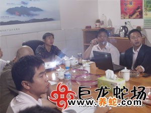 无毒蛇养殖的利润与风险_无毒蛇养殖技术_无毒养殖蛇技术要求
