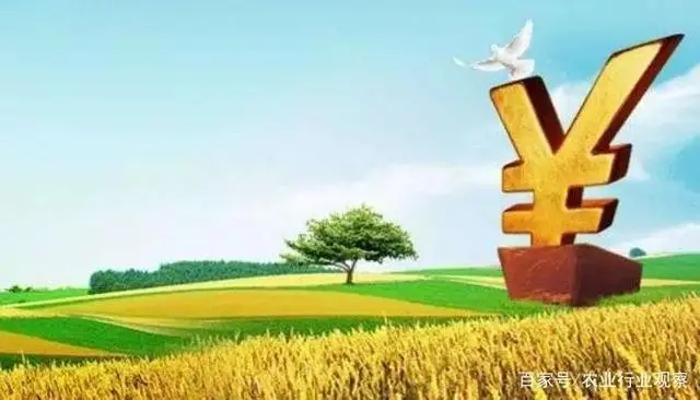 养殖蛋鸭致富_养殖蛋鸭的前景如何_养殖蛋鸭的成本和利润