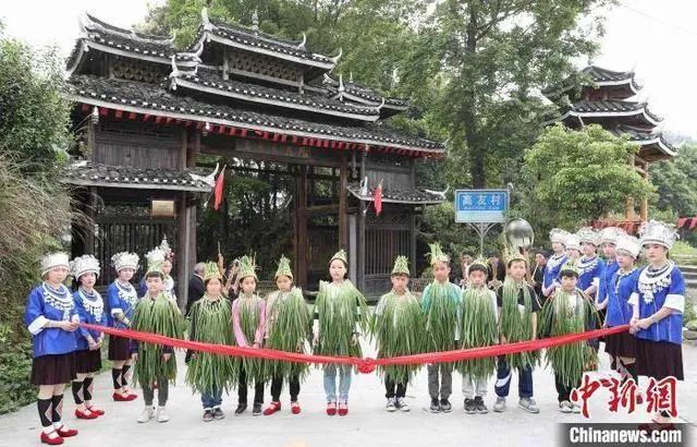 广西侗乡举办传统韭菜文化节，擂台比拼选出“韭菜王”