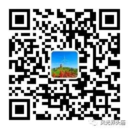 致富经蝎子养殖技术视频_蝎子养殖致富创业_蝎子养殖赚钱