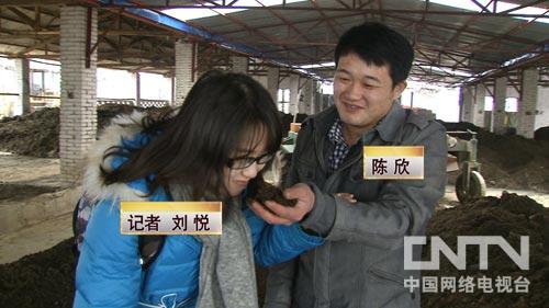 致富经鸡粪发酵视频_发酵鸡粪技术_鸡粪发酵设备视频演示