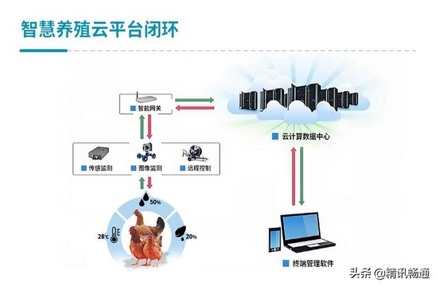 智慧养殖致富新路_养殖致富之路_养殖致富路有哪些项目