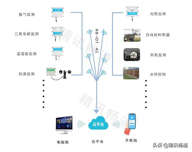 智慧养殖致富新路_养殖致富之路_养殖致富路有哪些项目