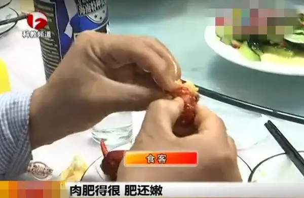 致富养殖强人女主_养殖致富女强人_致富养殖网