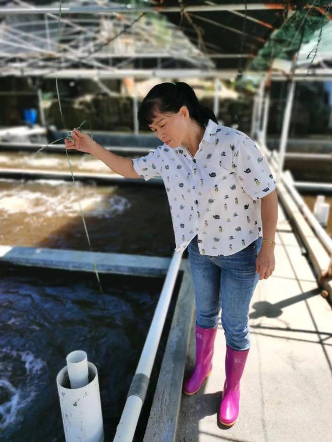 养殖致富女强人_致富养殖网_致富经女强人养羊视频
