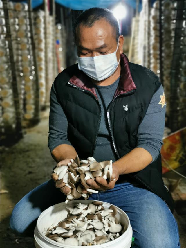 河源养殖致富项目_致富养殖河源项目中标公告_河源养殖合作社