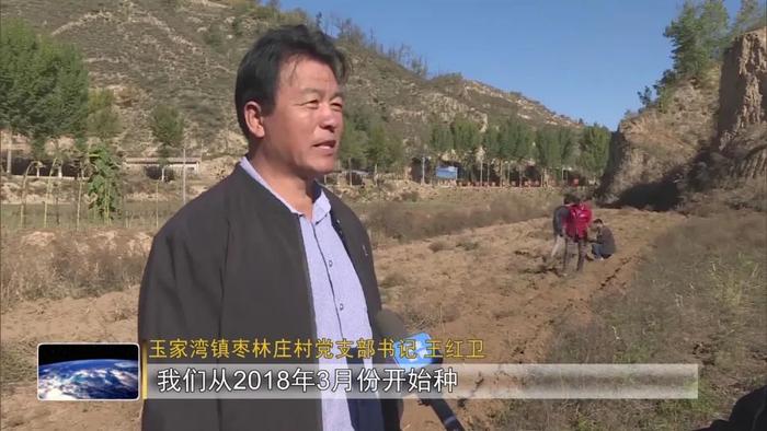 致富乡镇种植补贴政策_乡镇种植致富_农村致富新项目种植业