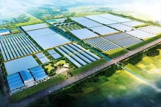 优质园创建经验交流_幼儿园优质园创建简报_优质创建园经验交流发言稿