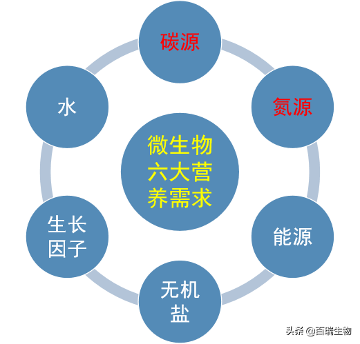 鲈鱼的高密度养殖技术_高密度鲈鱼养殖基地_高密度鲈鱼养殖视频