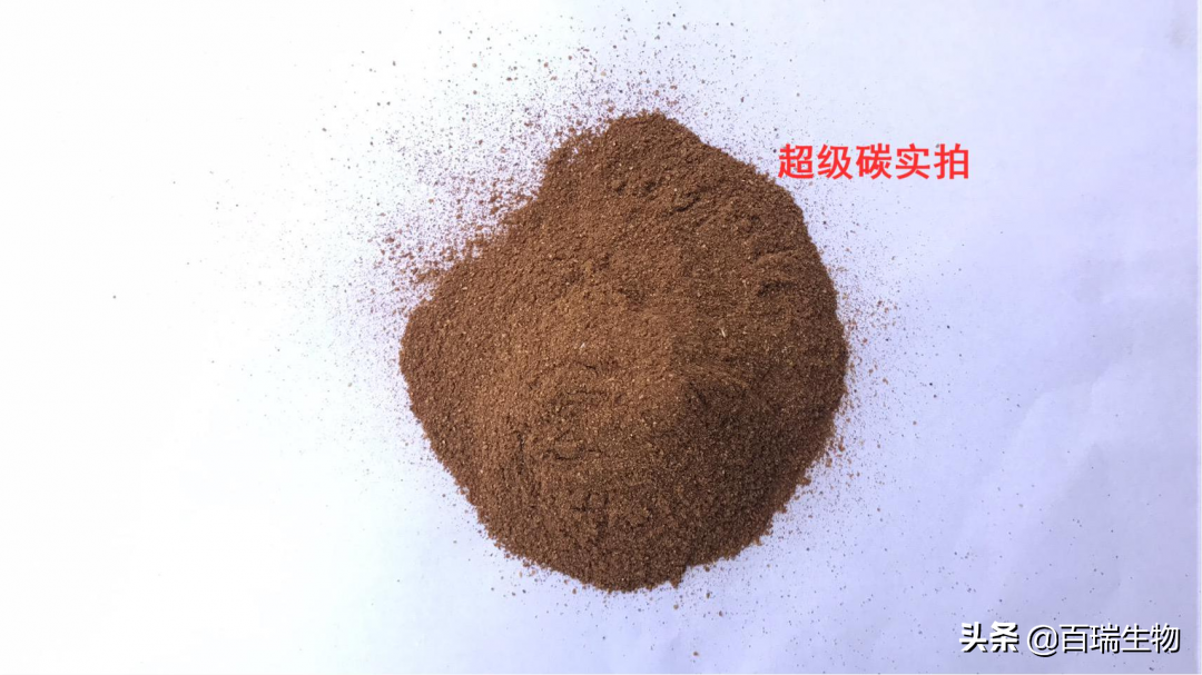 高密度鲈鱼养殖视频_高密度鲈鱼养殖基地_鲈鱼的高密度养殖技术