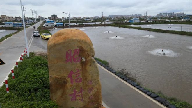 致富经珠海海鲈鱼养殖_珠海海鲈鱼最大养殖户_珠海鲈鱼塘口价