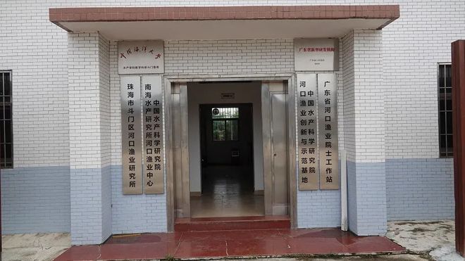 致富经珠海海鲈鱼养殖_珠海鲈鱼塘口价_珠海海鲈鱼最大养殖户