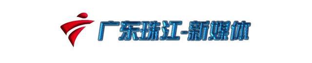 珠海鲈鱼养殖公司_珠海鲈鱼养殖基地_致富经珠海海鲈鱼养殖