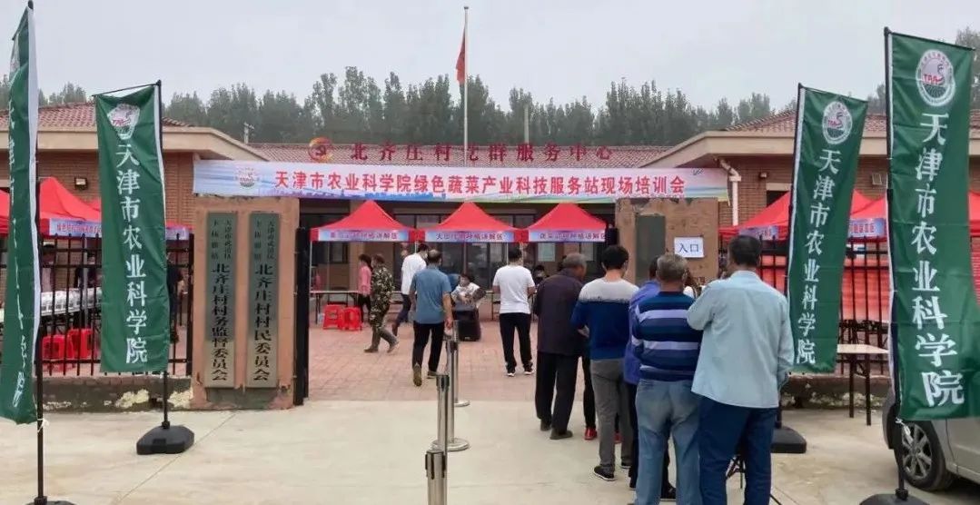 致富种植农业方法有哪些_致富种植农业方法是什么_农业种植致富方法