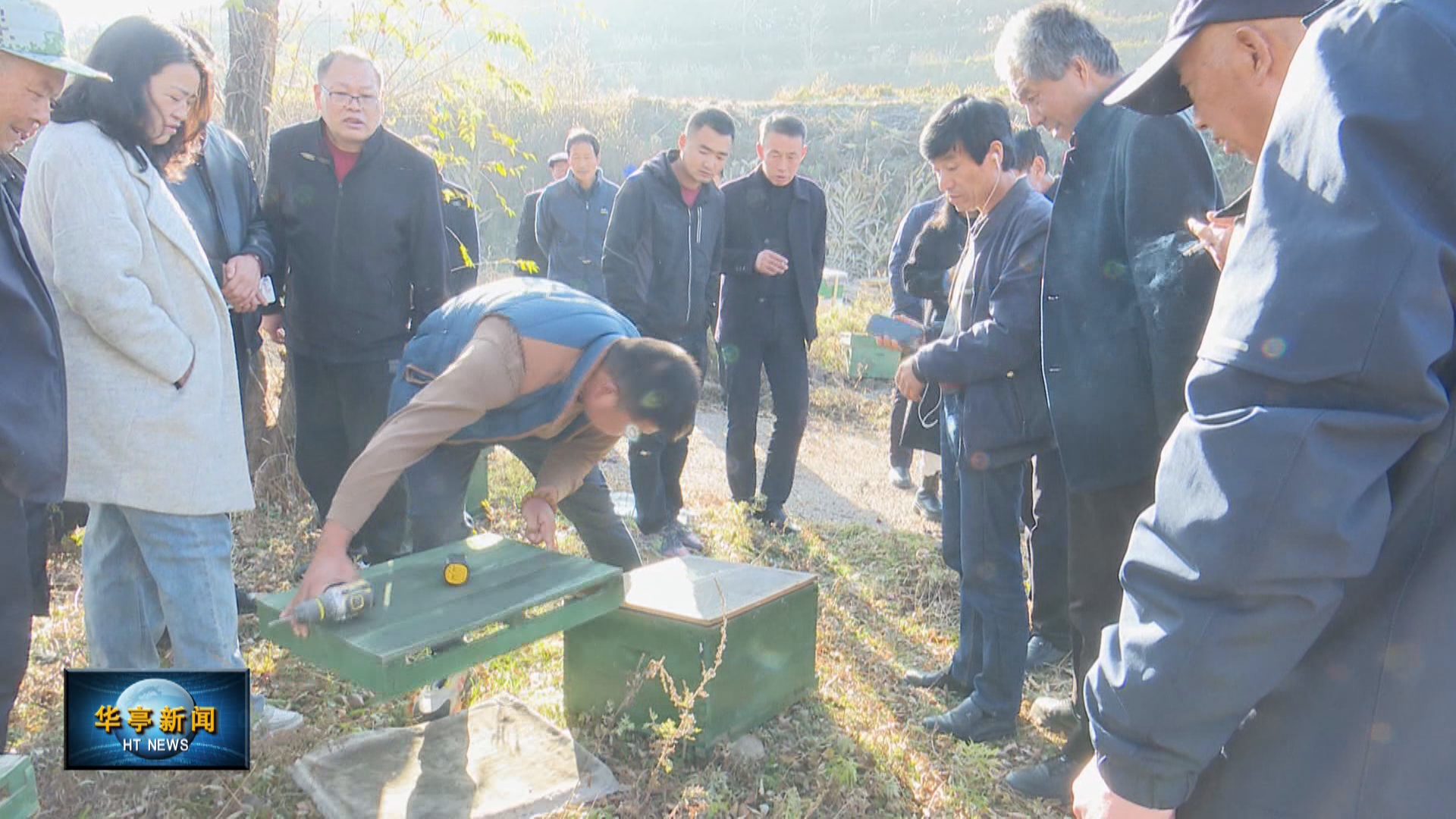中华蜜蜂怎么养殖技术_蜜蜂养殖中华技术有哪些_蜜蜂养殖中华技术视频