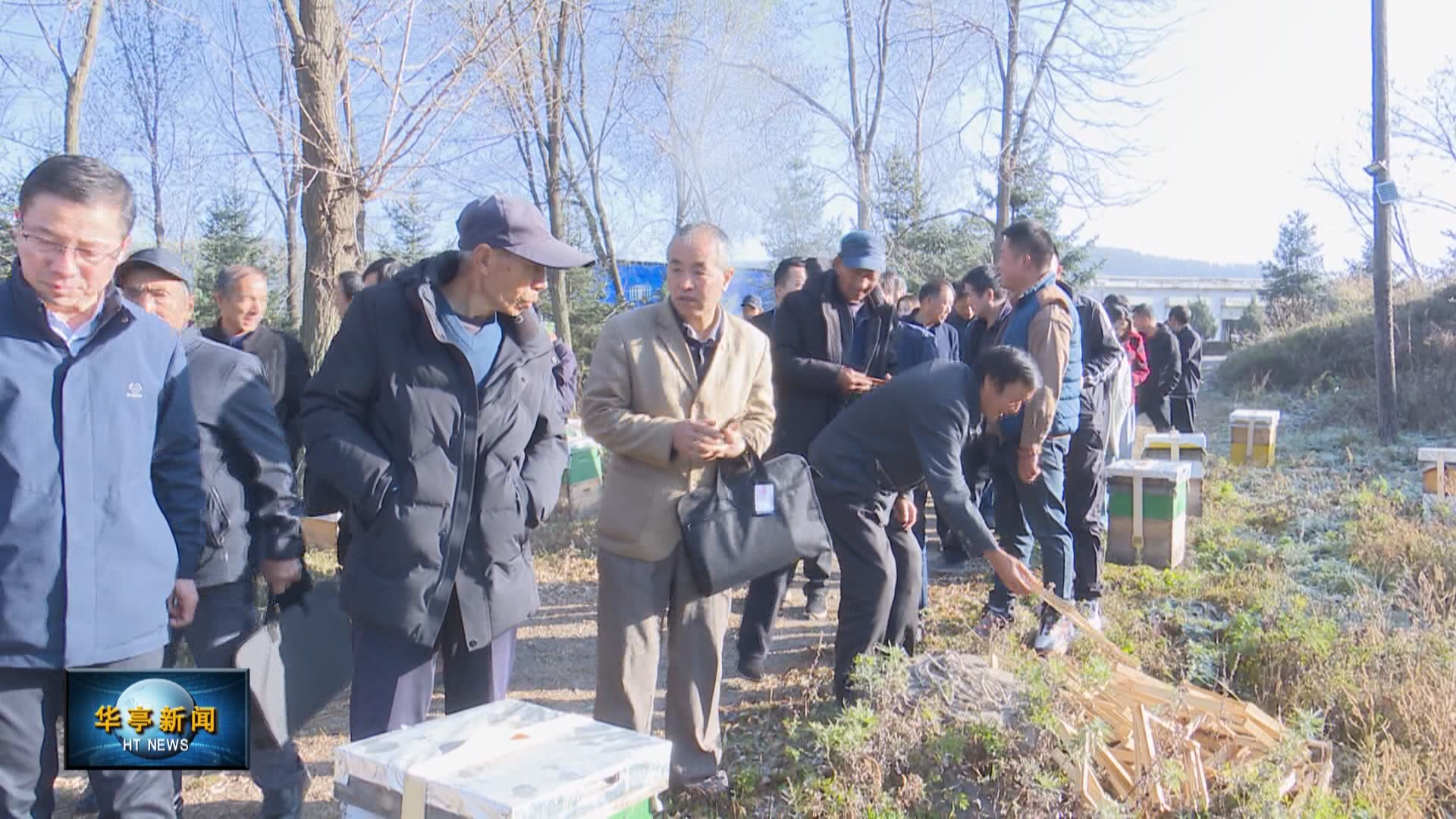 蜜蜂养殖中华技术视频_中华蜜蜂怎么养殖技术_蜜蜂养殖中华技术有哪些