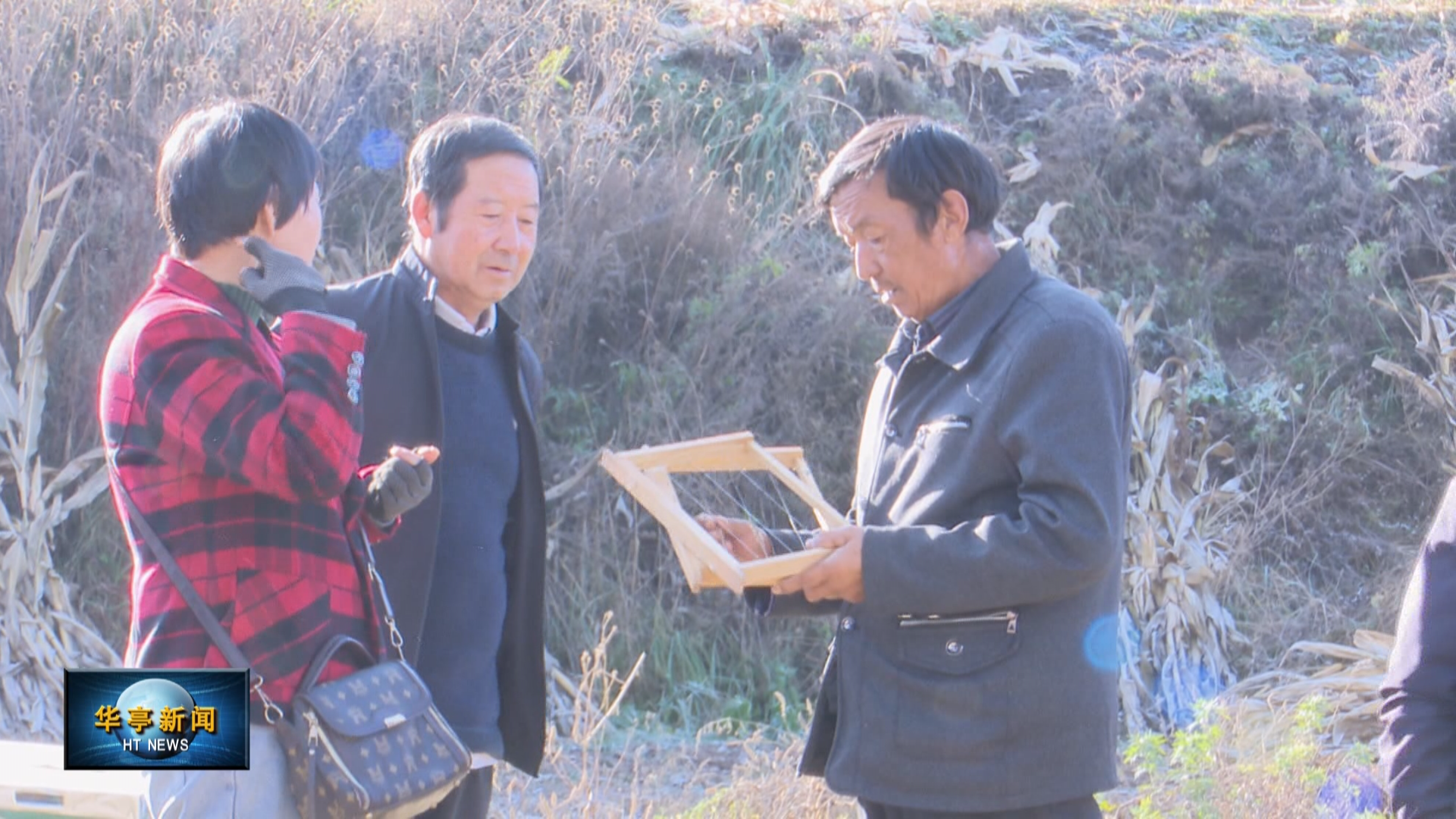 蜜蜂养殖中华技术有哪些_蜜蜂养殖中华技术视频_中华蜜蜂怎么养殖技术