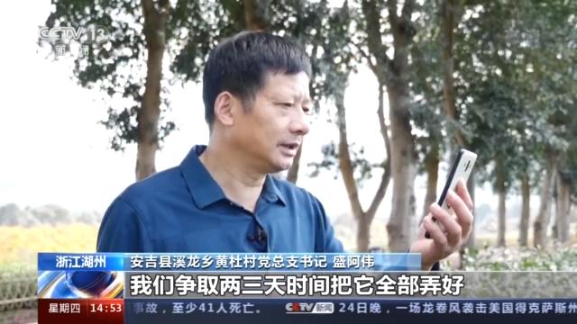致富种植白茶怎么样_种植白茶致富吗_致富种植白茶图片
