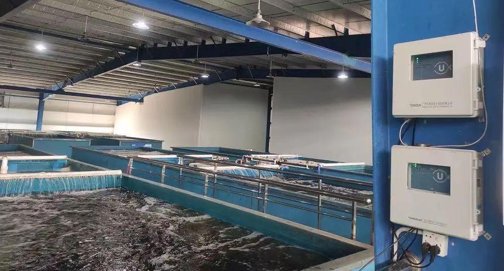 致富经牛蛙致富视频_致富经养蛙视频全集_致富经养牛蛙