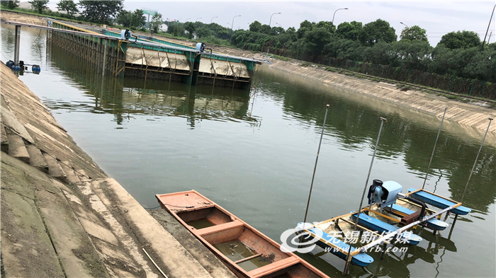 致富经淡水鱼养殖_养殖淡水鱼赚钱吗_致富淡水养殖鱼图片