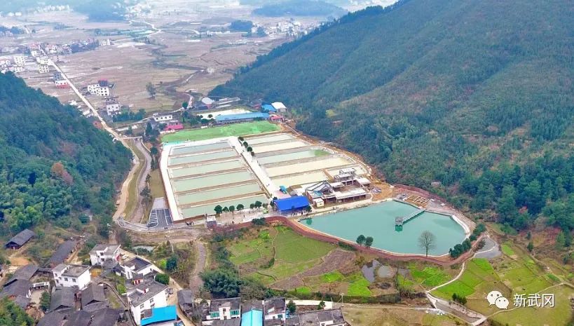 致富经淡水鱼养殖_致富淡水养殖鱼有哪些_致富淡水养殖鱼图片