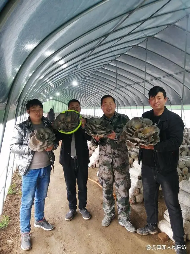 花菇养殖成本_致富种植项目花菇有哪些_种植花菇致富项目