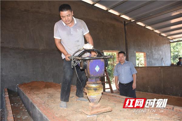 养殖青蛙致富视频_养殖青蛙致富视频_养殖青蛙致富视频