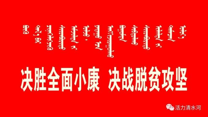 【走向我们的小康生活】摇铃沟花菇敲开致富门