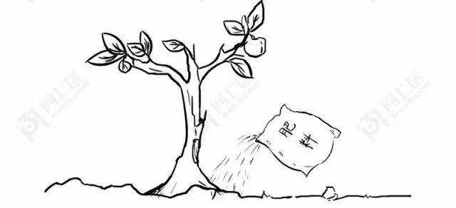 种植园林绿化树种致富_致富绿化种植项目介绍_绿化种植致富项目