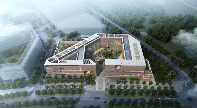 新优质学校创建心得体会_创建新优质学校的经验_建设创新建