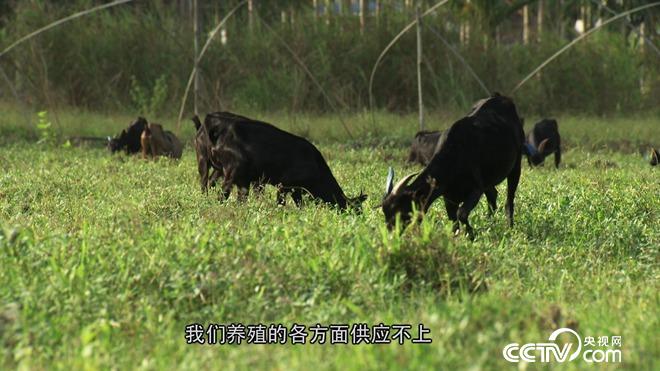 致富经