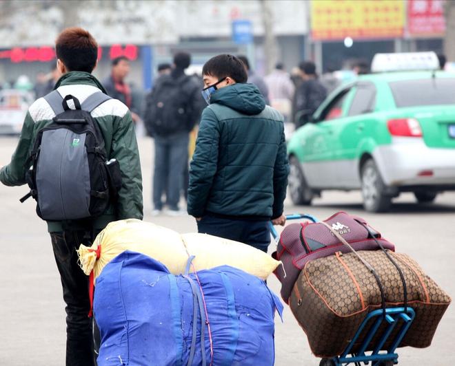 珍珠鸡养殖技术大全_珍珠鸡的养殖技术和成本利润_珍珠鸡养殖技术