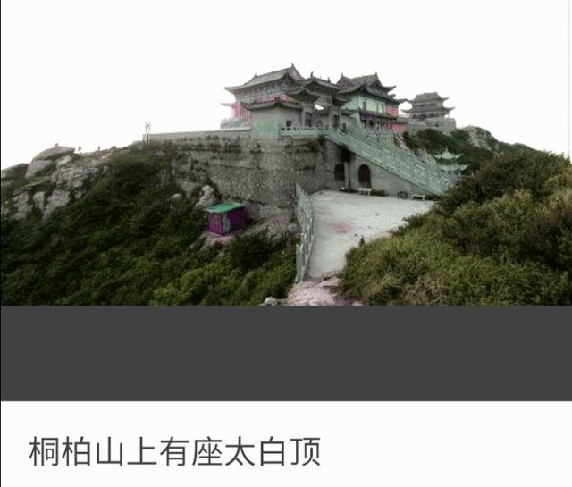致富经视频全集视频_致富经陈术容视频_视频致富经