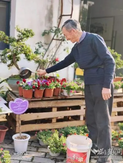 汤阴城关：聚焦“花经济” 拓宽致富路