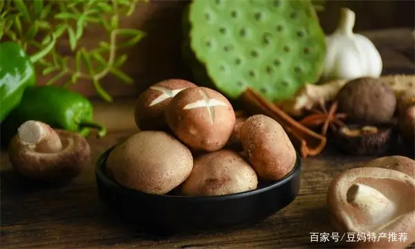 水果种植赚钱吗_种植什么水果致富_致富水果种植方法
