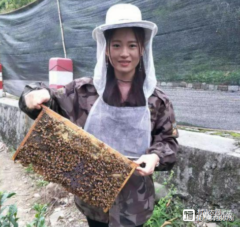 致富农村养殖种植_农村养殖致富空间_致富养殖农村空间设计方案