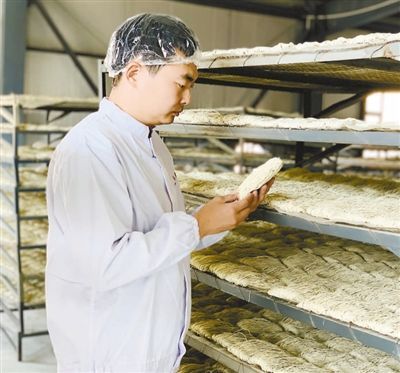 致富种植麦子图片_致富种植麦子视频_麦子种植致富