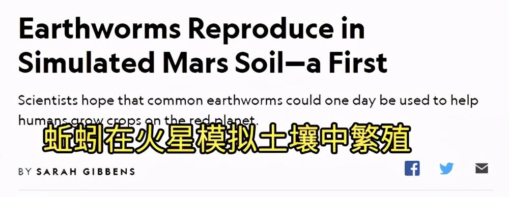 人工黄粉虫养殖技术_人工黄粉虫养殖技术_人工黄粉虫养殖技术