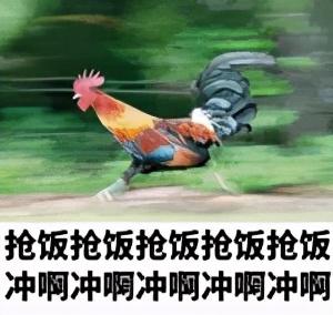 人工黄粉虫养殖技术_人工黄粉虫养殖技术_人工黄粉虫养殖技术