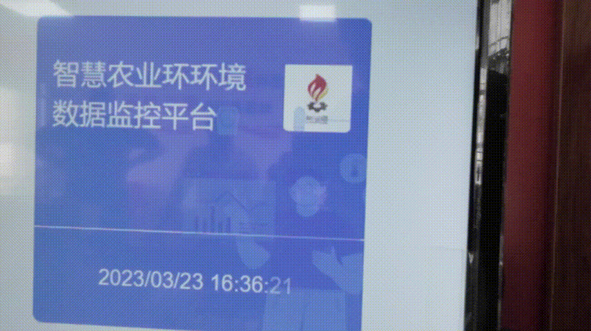 致富养殖河虾技术视频_养殖河虾的技术视频_致富经河虾养殖技术