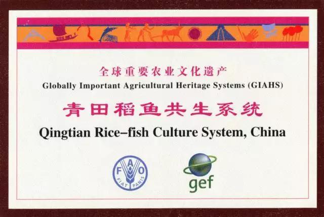 这个全球试点全国仅11项，浙江就占了2项
