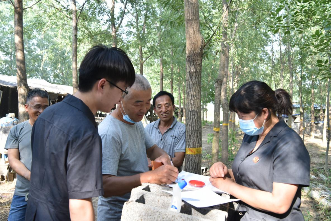 徐州金蝉养殖基地_养殖徐州金蝉技术怎么样_徐州金蝉养殖技术