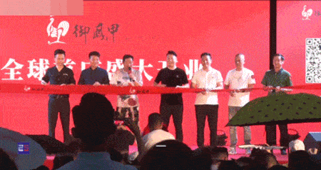 致富经鸡住树上_致富经山洞养鸡_致富养鸡