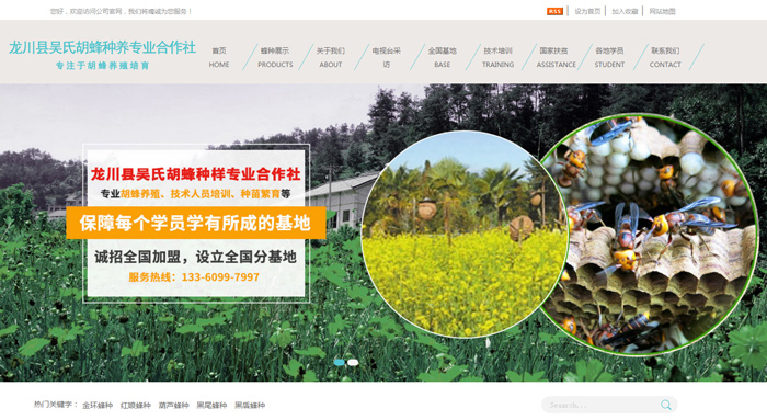 黄蜂养殖前景_黄蜂养殖技术培训_黄蜂养殖技术视频直播