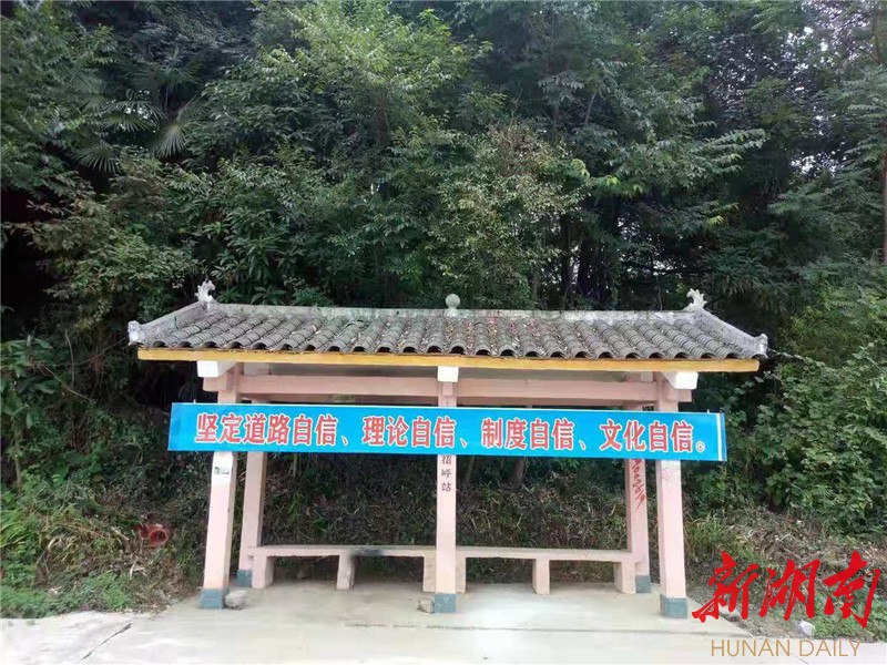 湘西黑猪好吃吗_湘西黑猪养殖基地联系电话_致富经湘西黑猪