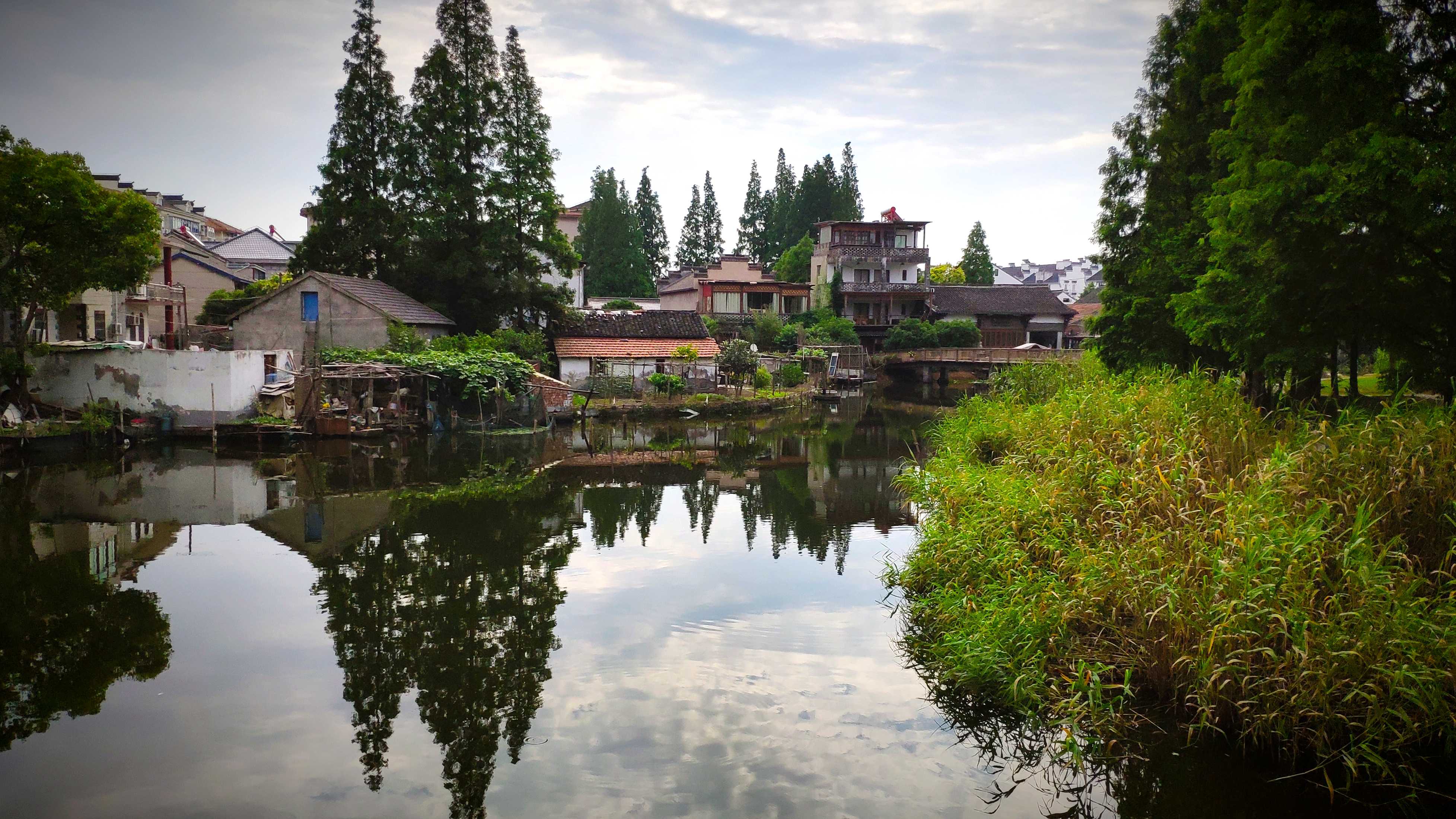 四腮鲈鱼（松江鲈），沙塘鳢