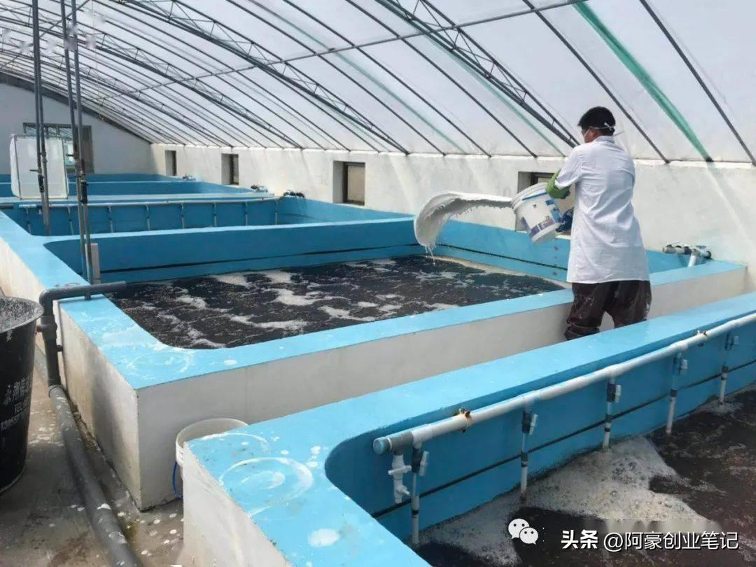 致富小伙养殖项目是什么_小伙养殖致富项目_致富小伙养殖项目有哪些