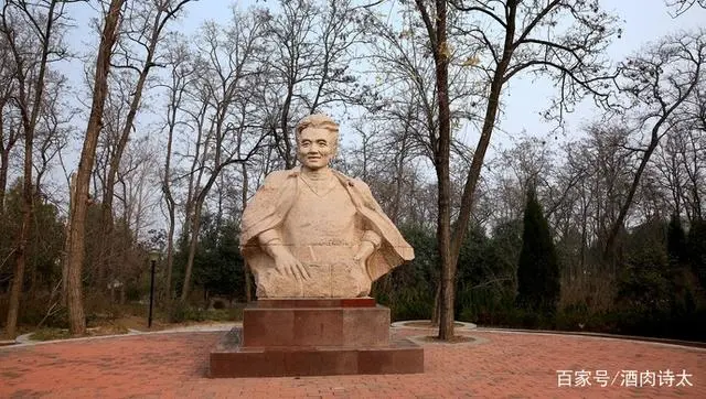 种树致富全部视频_致富树木种植视频_致富经树木种植