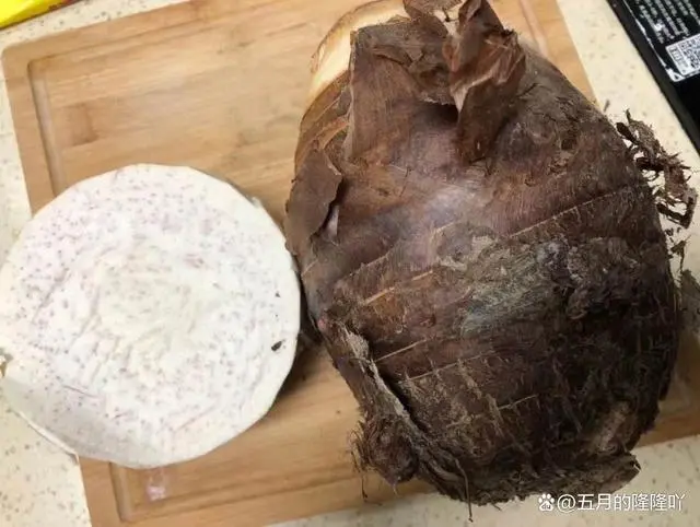 视频种植芋头槟榔技术方法_槟榔芋头种植技术视频_视频种植芋头槟榔技术视频教程